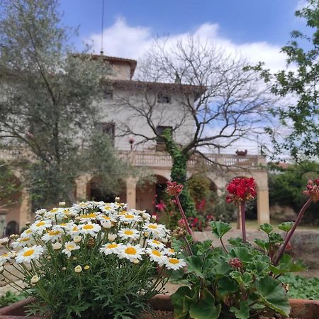 Hostel Can Rabassa Vallromanes Zewnętrze zdjęcie